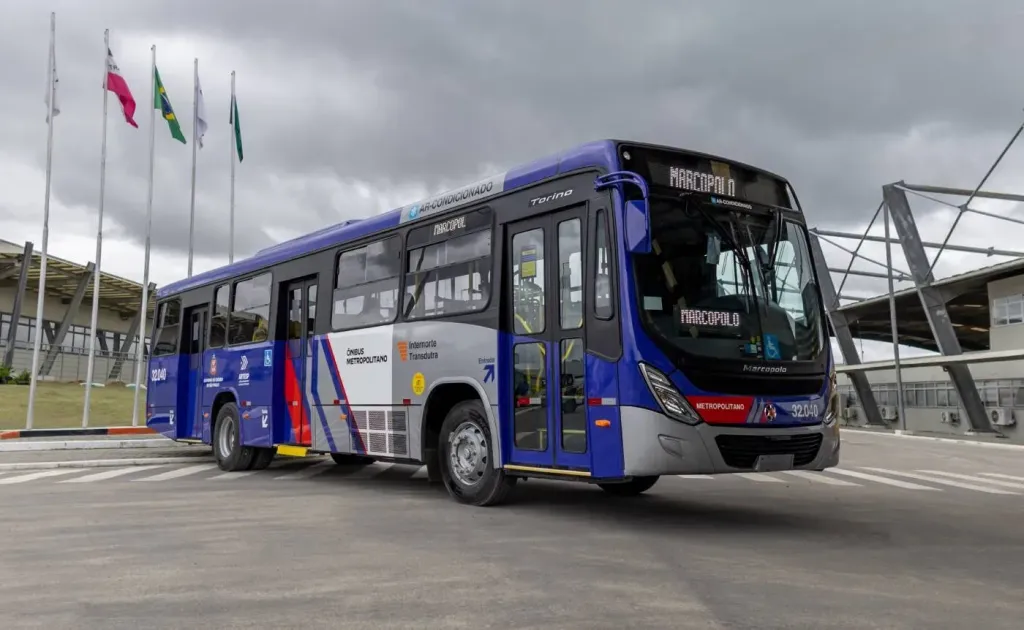 Ônibus urbanos Torino (Divulgação)
